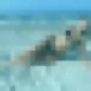 Photo privée de Yetunde, 41 ans à Escrennes - plan discret