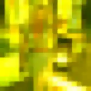 Photo sexy de Élise, 40 ans à Espiet - rencontre sans lendemain