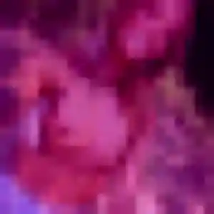 Stacy de Essoyes, 25 ans - rencontre adulte en toute liberté