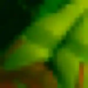 Fanta, 40 ans, veut un rencontre adulte à Estrées