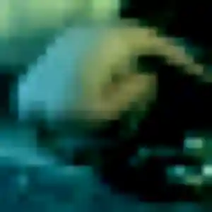 Leïla, fille de 35 ans propose rencontre adulte à Estrées