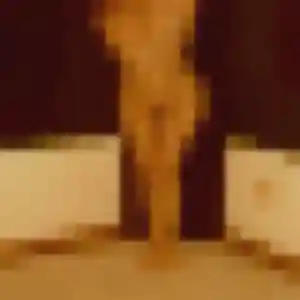 Photo privée de Nafi, 34 ans à Étaules - rencontre sans lendemain