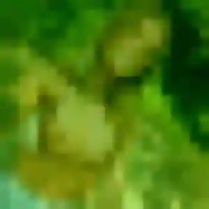 Rejoins Adjoavi, 24 ans à Évans en privé