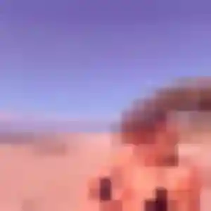 Charmante Brigitte, 19 ans à Éveux - découvrir son profil