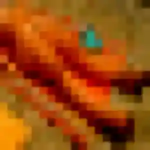 Découvre Diary, 26 ans à Ézy-sur-Eure en t'inscrivant