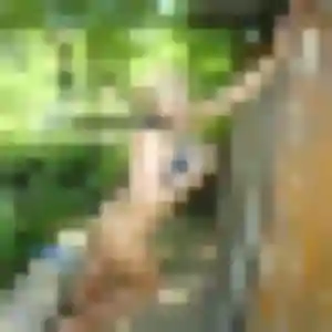 Naïma, femme de 28 ans propose rencontre adulte à Falleron