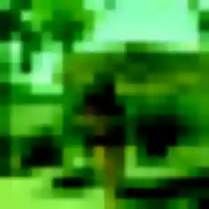 Profil de Farida à Fampoux (35 ans) - rencontre adulte sans inscription