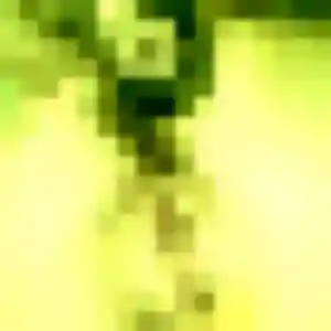 Dado, 45 ans, veut un rencontre adulte à Feillens