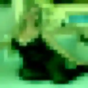 Contacte Ndèye, 42 ans à Felleries en privé