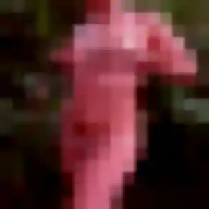 Photo privée de Wanjiku, 30 ans à Fenain - rencontre coquine