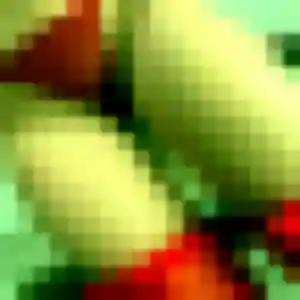 Photo de Sylvie à Ferques (37 ans) - rencontre adulte discret