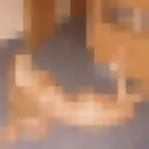 Ablavi, 36 ans, en ligne à Ferrières pour une rencontre coquine