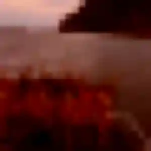 Rencontre Safi, 44 ans à Festubert en privé