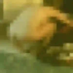 Photo perso de Fanny, 34 ans à Feucherolles - rencontre sans lendemain