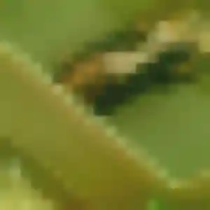 Photo exclusive de Adja, 19 ans à Figeac - plan discret