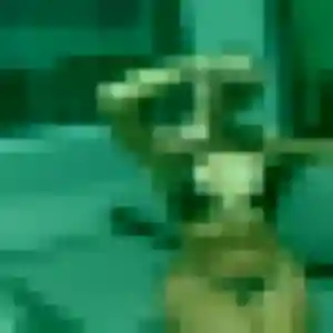 Sexy Mbène, 28 ans à Flassans-sur-Issole - la contacter