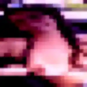 rencontre adulte à Flêtre : photo de Zuri, 39 ans - accès libre