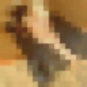 Efua, 27 ans, connectée à Fleurbaix pour une rencontre coquine