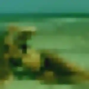 Favour (22 ans) à Flize cherche une rencontre rapidement