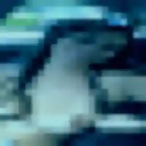 Codou, 32 ans, en ligne à Folkling pour un rencontre adulte