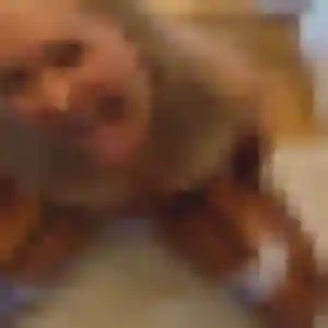 Photo perso de Capucine, 27 ans à Fontenay-le-Comte - rencontre coquine