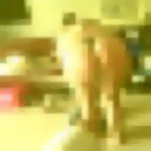 Evelyne, fille de 34 ans propose rencontre adulte à Forcé