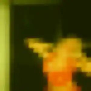 rencontre adulte à Fourques : profil de Shade, 25 ans - inscription gratuite