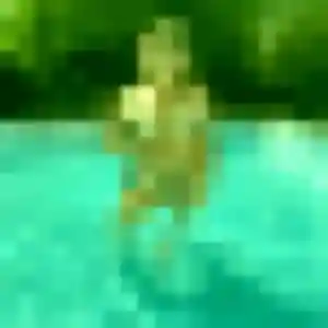 Rencontre Solène, 20 ans à Fréjeville en t'inscrivant