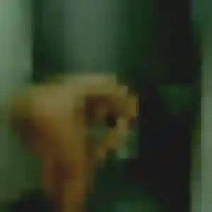 Déborah, 23 ans, en ligne à Frencq pour une rencontre coquine