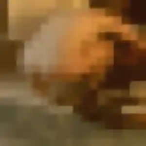 Rencontre Prisca, 32 ans à Fressin gratuitement