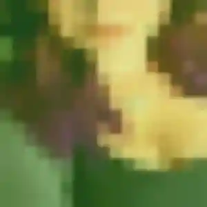 Olufunmi, femme de 31 ans cherche rencontre adulte à Fréteval
