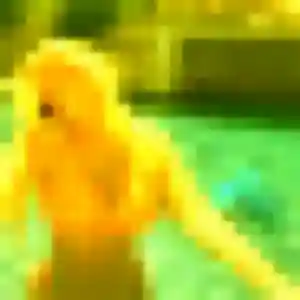 rencontre adulte à Frévent : photo de Mériem, 23 ans - accès libre