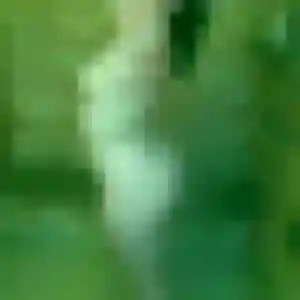 Jolie Adaora, 41 ans à Friesen - voir sa photo