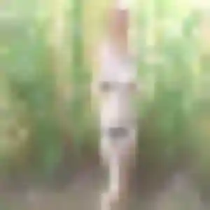 Modupe, 38 ans, dispo pour rencontre adulte à Frœningen