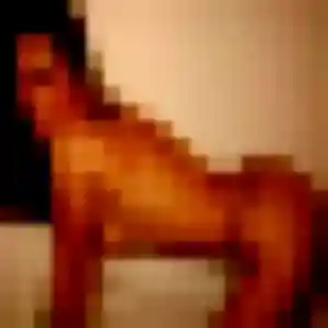 Découvre Hélène, 22 ans à Froncles en privé