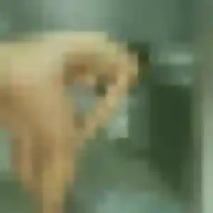 Chiamaka, femme de 32 ans propose rencontre adulte à Frontenac