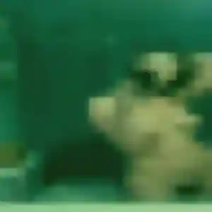 Dado, femme de 31 ans veut rencontre adulte à Frontenas