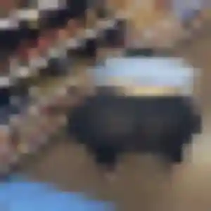 rencontre adulte à Fronton : photo de Adja, 34 ans - accès libre