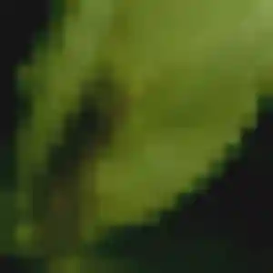 rencontre adulte à Fumel : photo de Yaa, 44 ans - inscription gratuite