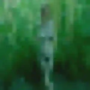 Nyima (22 ans) à Gacé cherche un rencontre adulte ce soir