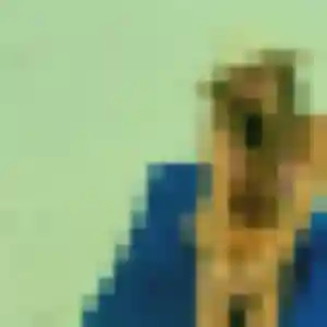 Photo de Zara à Gaillard (40 ans) - rencontre adulte sans inscription