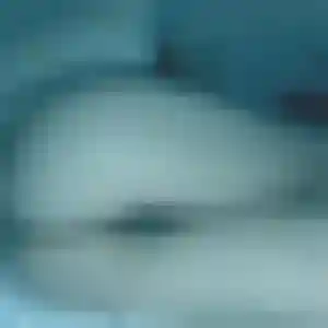 Rejoins Maéva, 20 ans à Gan gratuitement