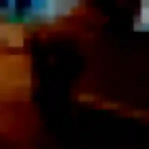 Profil de Nicole à Gaujac (39 ans) - rencontre adulte anonyme