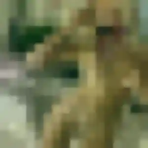 Profil de Fanta à Gavray-sur-Sienne (41 ans) - rencontre adulte gratuit