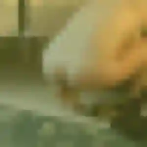 Sexy Ablavi, 29 ans à Genilac - voir sa photo