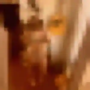 Evelyne, 44 ans, connectée à Genilac pour un rencontre adulte