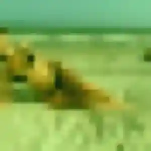 Upendo, 36 ans, veut un rencontre adulte à Genlis