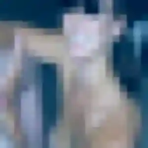 Sexy Adjoua, 38 ans à Genouilly - découvrir son profil