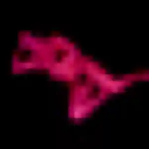 Photo sexy de Fama, 45 ans à Glomel - plan discret