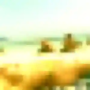 rencontre adulte à Goderville : profil de Ama, 40 ans - accès libre